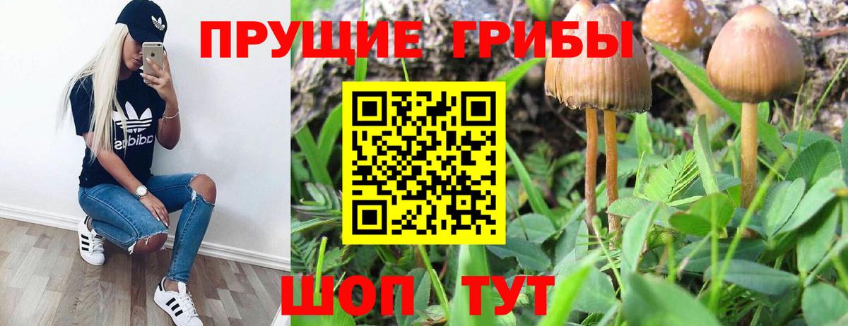 Сокол  купить закладку  Вход с VPN  Псилоцибиновые грибы ЛСД 
